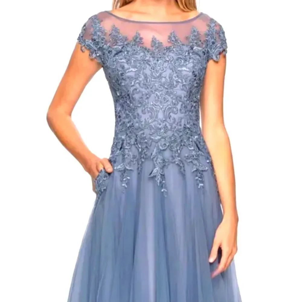 DAVE AND JOHNNY EMBROIDERY CHIFFON CAP SLEEVE GOWN